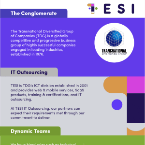 The Conglomerate - Transnational Diversified Group